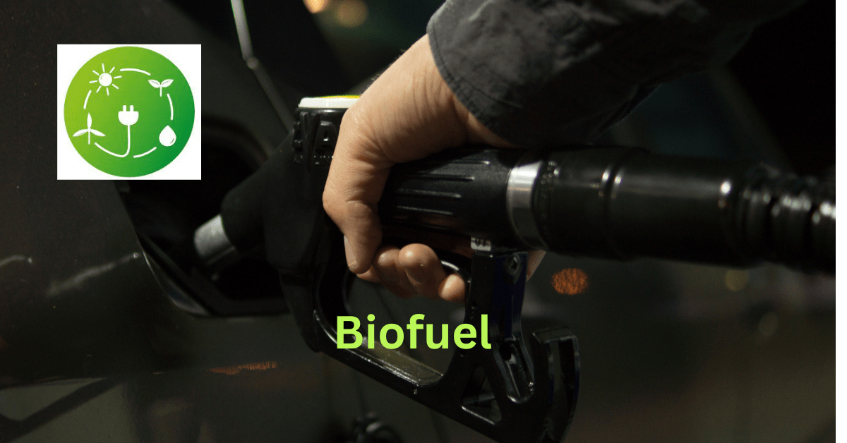 जैव ईंधन ऊर्जा के लाभ और नुकसान I Advantages and disadvantages of biofuel energy in Hindi